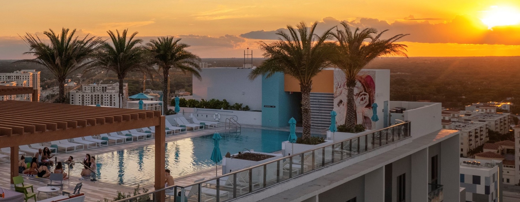 palm trees on a roof top pooldeck during sunset