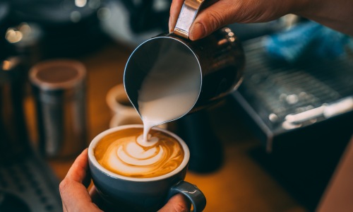 Best Coffee Shops Near Douglas Road, Coconut Grove, & Coral Gables Cover Image
